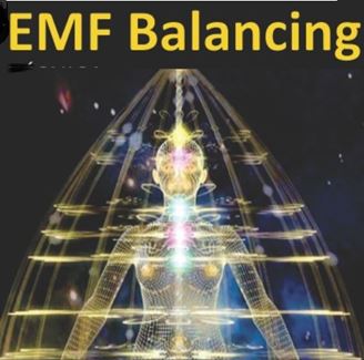 Imagen de EMF Balancing Technique