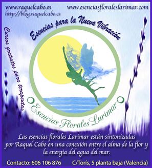 Imagen de Esencias Florales Larimar