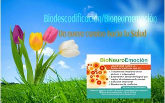 Imagen de Bio Neuro Emocion&Coaching