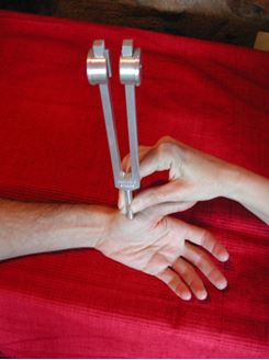Imagen de Taller: Diapasones Terapéuticos, Nivel 1 