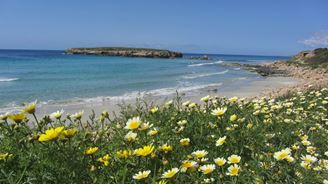 Imagen de VACACIONES EN MENORCA CON YOGA Y ACTIVIDADES 