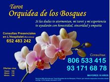 Imagen de tarot orquidea de los bosques