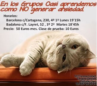 Imagen de GRUPO MÉTODO OASI PARA LA ANSIEDAD