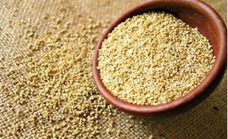 Imagen de Quinoa: Propiedades, Consejos y Sugerencias para una Quinoa ideal