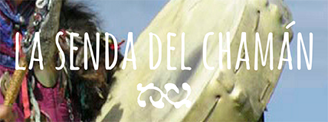 Imagen de TALLER LA SENDA DEL CHAMAN EN MADRID