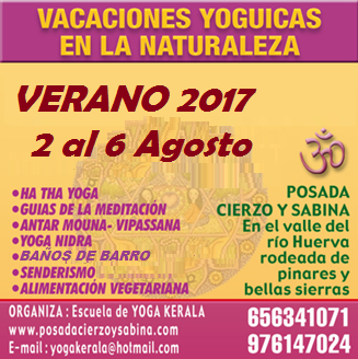 Imagen de YOGA EN LA NATURALEZA VERANO 2017