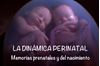 Imagen de LA DINÁMICA PERINATAL