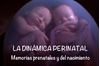 Imagen de LA DINÁMICA PERINATAL