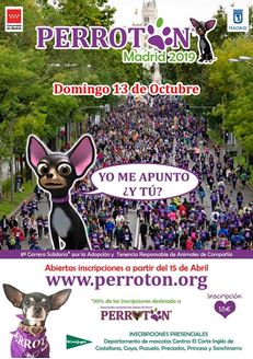 Imagen de PERROTON MADRID 2019