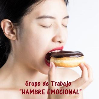 Imagen de GRUPO DE TRABAJO HAMBRE EMOCIONAL