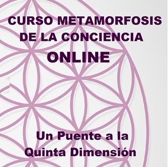 Imagen de METAMORFOSIS DE LA CONCIENCIA