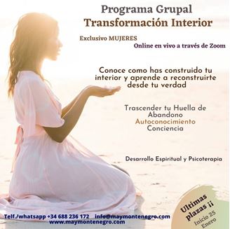 Imagen de TRANSFORMACIÓN INTERIOR ONLINE