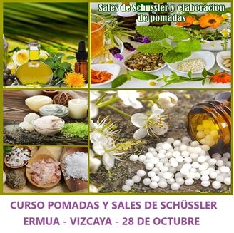 Imagen de POMADAS Y SALES DE SCHUSSLER