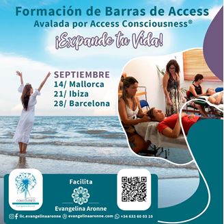Imagen de FORMACION DE BARRAS DE ACCESS EN IBIZA, MALLORCA, BARCELONA