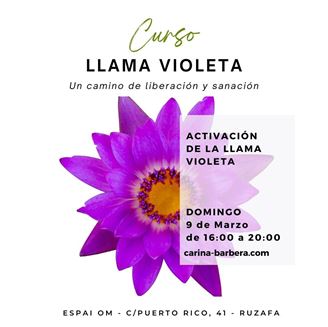 Imagen de CURSO: ACTIVACIÓN DE LA LLAMA VIOLETA