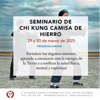 Imagen de SEMINARIO DE CHI KUNG CAMISA DE HIERRO