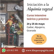 Imagen de INICIACIÓN A LA ALQUIMIA VEGETAL