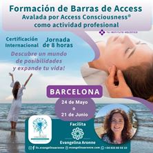 Imagen de Formación de BARRAS de ACCESS en BARCELONA