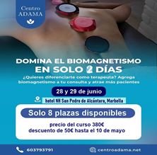 Imagen de CURSO de PAR BIOMAGNÉTICO