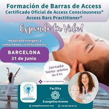 Imagen de Formación de BARRAS de ACCESS en BARCELONA