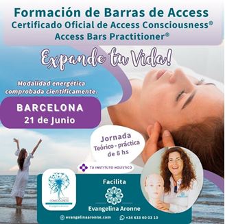 Imagen de Formación de BARRAS de ACCESS en BARCELONA