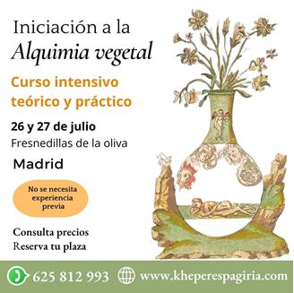 Imagen de INICIACIÓN A LA ALQUIMIA VEGETAL