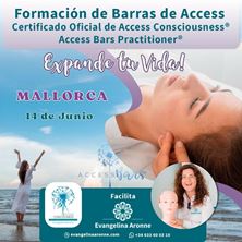 Imagen de Formación de BARRAS de ACCESS en Mallorca