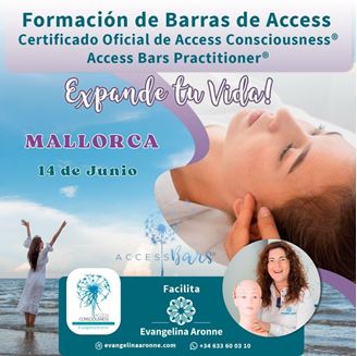Imagen de Formación de BARRAS de ACCESS en Mallorca