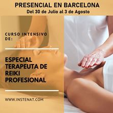 Imagen de TERAPEUTA PROFESIONAL DE REIKI - CURSO INTENSIVO