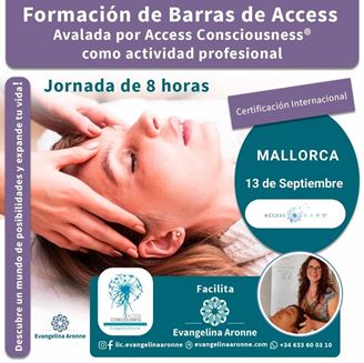 Imagen de Formación de BARRAS de ACCESS en Mallorca