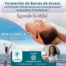 Imagen de Formación de BARRAS de ACCESS en Mallorca