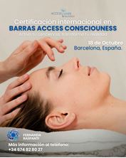 Imagen de BARRAS DE ACCESS EN BARCELONA