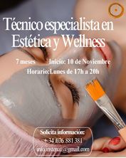 Imagen de Técnico Especialista en Estética y Wellness