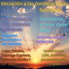 Imagen de INICIACIÓN A LAS CONSTELACIONES FAMILIARES