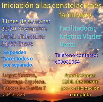 Imagen de INICIACIÓN A LAS CONSTELACIONES FAMILIARES
