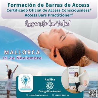 Imagen de Formación de BARRAS de ACCESS en Mallorca