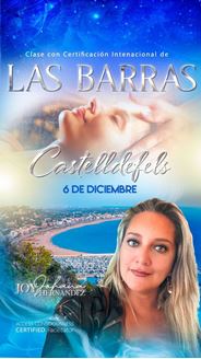 Imagen de Curso de Formación.  LAS BARRAS DE ACCESS®