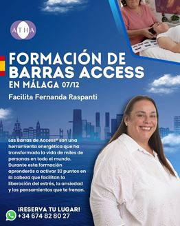 Imagen de FORMACIÓN INTERNACIONAL DE BARRAS DE ACCESS