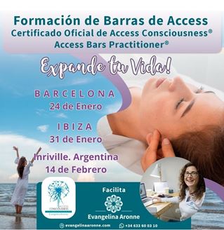 Imagen de Formación de BARRAS de ACCESS en BARCELONA