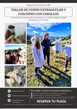 Imagen de TALLER DE VISIÓN EXTRAOCULAR Y COACHING CON CABALLOS