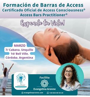 Imagen de CURSO DE BARRAS ACCESS
