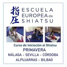 Imagen de CURSOS DE INICIACIÓN SHIATSU 