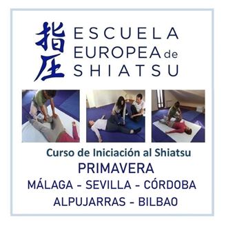 Imagen de CURSOS DE INICIACIÓN SHIATSU 