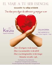 Imagen de EL VIAJE A TU SER ESENCIAL