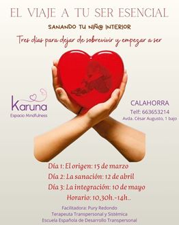 Imagen de EL VIAJE A TU SER ESENCIAL