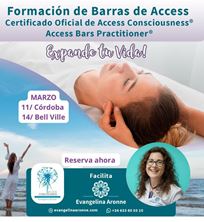 Imagen de CURSO DE BARRAS ACCESS