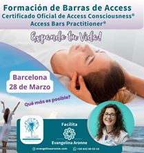 Imagen de BARRAS DE ACCESS EN BARCELONA
