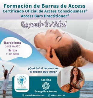 Imagen de FORMACION DE BARRAS DE ACCESS EN IBIZA y BARCELONAMALLORCA