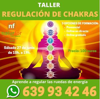 Imagen de TALLER REGULACIÓN DE CHAKRAS