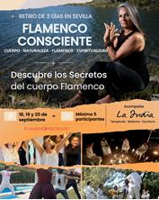 Imagen de RETIRO DE FLAMENCO CONSCIENTE